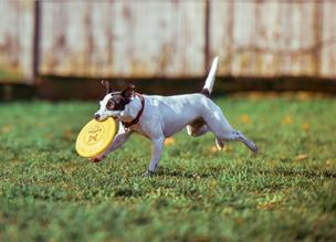 Практический гид по fetch(), reduce() и работе с API